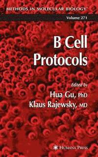 bokomslag B Cell Protocols