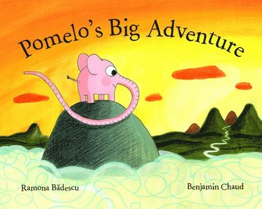 bokomslag Pomelo's Big Adventure