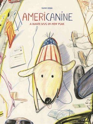 Kebbi, Y: Americanine