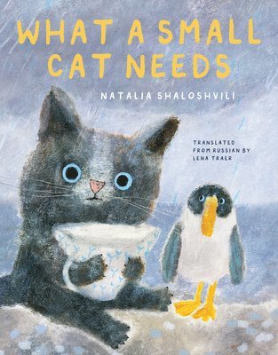 Natalia Shaloshvili - What a Small Cat Needs, Inbunden
