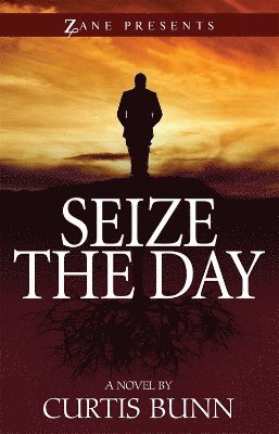 bokomslag Seize The Day
