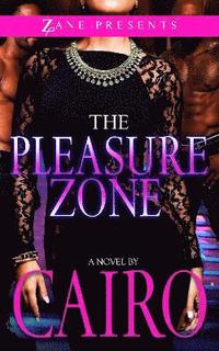 bokomslag The Pleasure Zone
