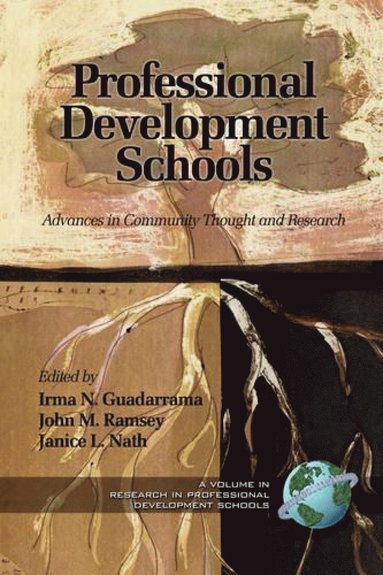 bokomslag Professional Development Schools