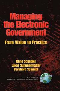 bokomslag Managing the Electronic Government