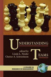 bokomslag Understanding Teams