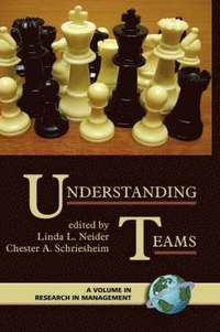 bokomslag Understanding Teams