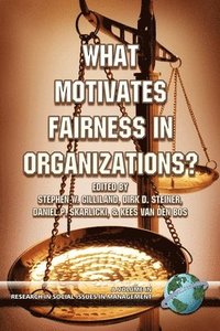 bokomslag What Motivates Fairness in Organizations