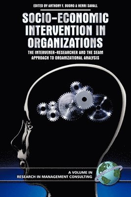 bokomslag Socio-Economic Intervention in Organizations