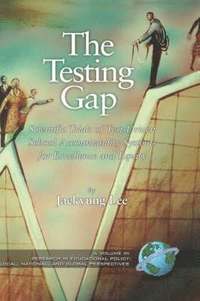 bokomslag The Testing Gap