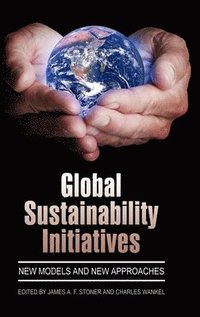 bokomslag Global Sustainability Initiatives