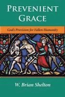 bokomslag Prevenient Grace: God's Provision for Fallen Humanity