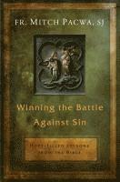 bokomslag Winning the Battle Against Sin: Hope-Filled Lessons from the Bible