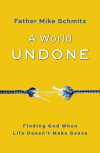 bokomslag A World Undone: Finding God When Life Doesn't Make Sense