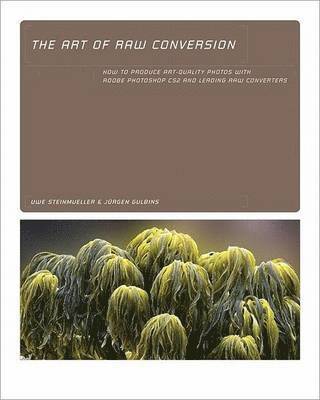 Art of Raw Conversion