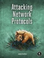 bokomslag Attacking Network Protocols