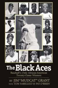 bokomslag The Black Aces: Baseball's Only African-American Twenty-Game Winners