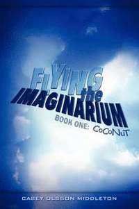 bokomslag Flying the Imaginarium