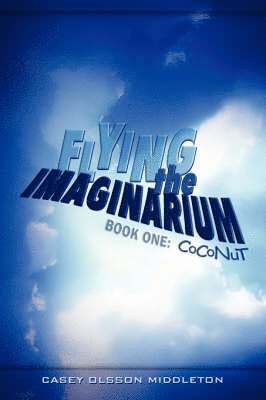 Flying the Imaginarium 1