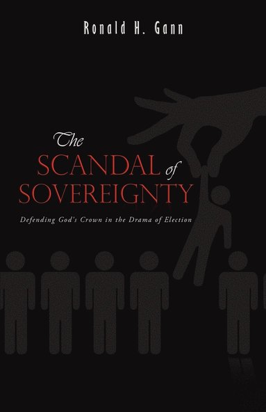bokomslag The Scandal of Sovereignty