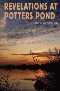 bokomslag Revelations at Potters Pond