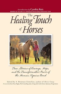 bokomslag Healing Touch Of Horses