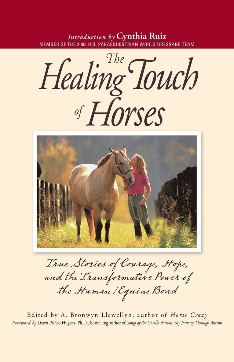 A. Bronwyn Llewellyn - The Healing Touch for Horses: True Stories of Courage, Hope, and the Transformative Power of the Human/Equine Bond, Häftad