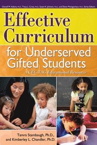 bokomslag Effective Curriculum for Underserved Gifted Students