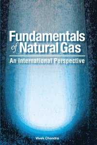 bokomslag Fundamentals of Natural Gas