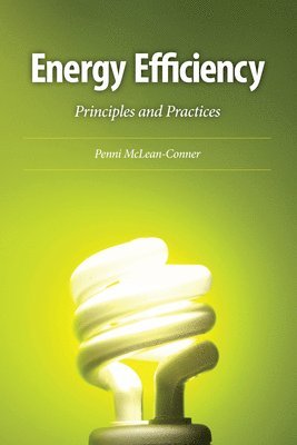 bokomslag Energy Efficiency