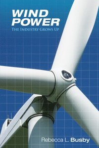 bokomslag Wind Power