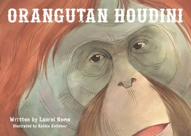 bokomslag Orangutan Houdini