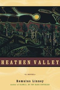 bokomslag Heathen Valley