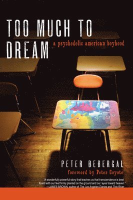 bokomslag Too Much to Dream