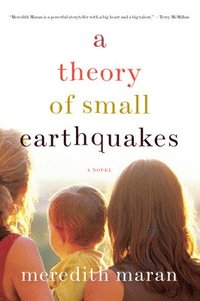 bokomslag A Theory of Small Earthquakes