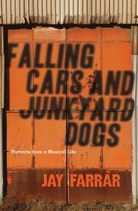 bokomslag Falling Cars and Junkyard Dogs