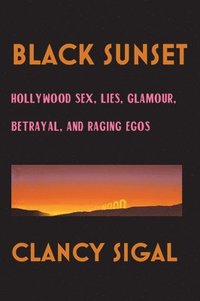 bokomslag Black Sunset