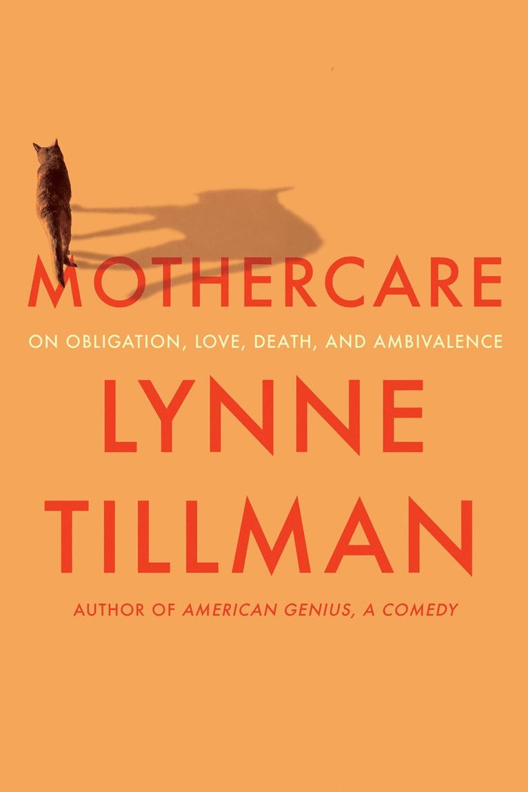 Lynne Tillman - NO RIGHTS - Mothercare, Inbunden