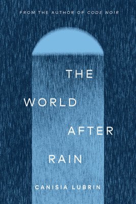 bokomslag The World After Rain: Anne's Poem