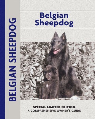 Robert Pollet - Belgian Sheepdog, Inbunden