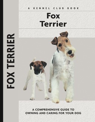 bokomslag Fox Terrier
