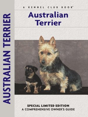 Australian Terrier 1