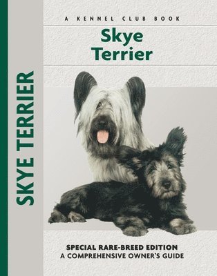 Skye Terrier 1
