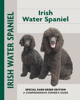 Irish Water Spaniel 1