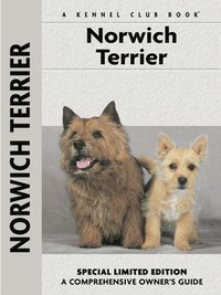 bokomslag Norwich Terrier