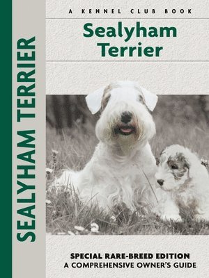 Sealyham Terrier 1