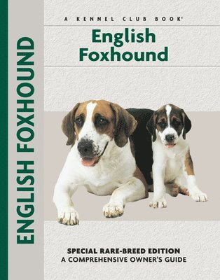 bokomslag English Foxhound