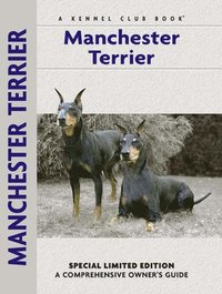 bokomslag Manchester Terrier
