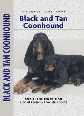 Black and Tan Coonhound 1