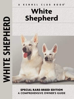 White Shepherd 1