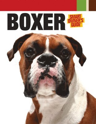 bokomslag The Boxer